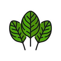 verde alazão superalimento folhas, espinafre linha ícone vetor