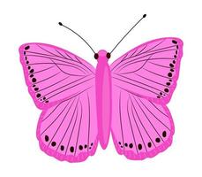 única borboleta colorida isolada no fundo branco. inseto tropical exótico com asas brilhantes e antenas. vetor