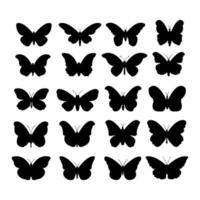conjunto de borboleta em fundo branco vetor