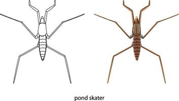 patinador de lagoa em cores e doodle isolado vetor