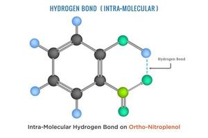 hidrogênio ligação, intra molecular hidrogênio vinculo dentro orto nitrofenol 2 vetor