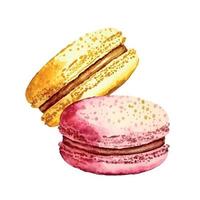 aguarela imagem do azul macaroon decorado com brilhante Rosa margarida flores isolado em branco fundo. mão desenhado ilustração do popular crocante sobremesa para cafeteria decoração vetor