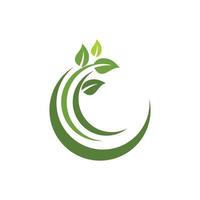 logotipos da ecologia de folhas verdes vetor