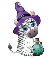 fofa zebra dentro bruxa chapéu, com vassoura, abóbora Jack, Magia poção. poster, cartão, rótulo e decoração para dia das Bruxas vetor