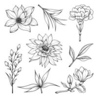 mão desenhada selvagem e ervas flores e folhas ilustração isolada no fundo branco.