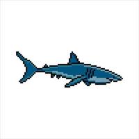Tubarão com pixel arte Projeto. vetor ilustração.