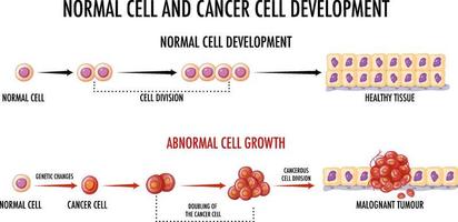 diagrama mostrando células normais e cancerosas vetor