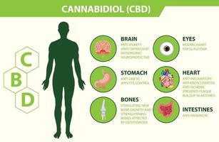 benefícios do CBD para o diagrama de saúde física vetor