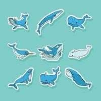 minimalista baleia adesivo coleção vetor