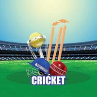 conceito de jogo de críquete com estádio e fundo vetor