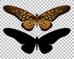 borboleta e sua silhueta vetor