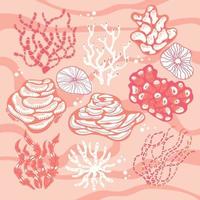 conjunto de corais e esponjas do mar vetor