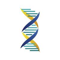 ícone de estrutura isolada de molécula de DNA vetor