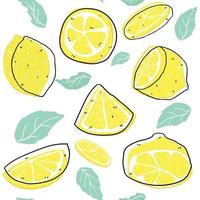 limão fatiado brilhante e folhas com padrão de linha de fundo transparente, fundo de verão
