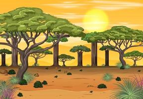 fundo de paisagem de floresta africana vetor