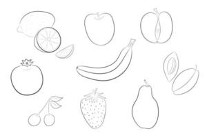 conjunto de frutas frescas de vetor doodle