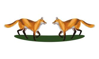 ícones animais de raposas selvagens vetor