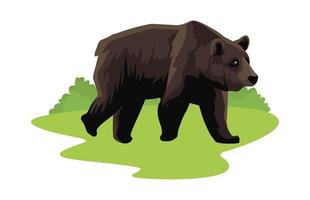animal urso selvagem no campo vetor