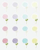 flores adesivos coleção. hortênsia coleção com decorativo floral Projeto. primavera adesivos. vetor