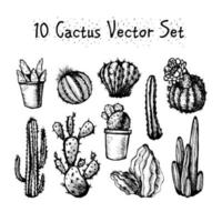 conjunto de cactos isolados desenhados à mão vetor