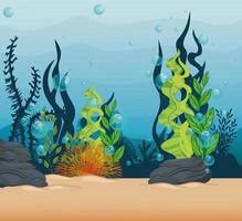 fundo subaquático com algas e recifes de coral vetor