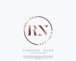 inicial rn feminino logotipo beleza monograma e elegante logotipo projeto, caligrafia logotipo do inicial assinatura, casamento, moda, floral e botânico com criativo modelo vetor