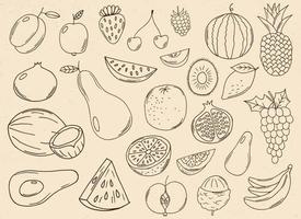 ilustração de desenho vetorial coleção de frutas desenhada à mão isolada no fundo vetor