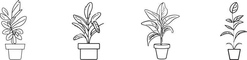 minimalista coleção do desenhado à mão planta doméstica panelas dentro plano Projeto vetor