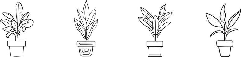 minimalista coleção do desenhado à mão planta doméstica panelas dentro plano Projeto vetor