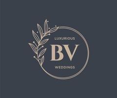 bv letras iniciais modelo de logotipos de monograma de casamento, modelos minimalistas e florais modernos desenhados à mão para cartões de convite, salve a data, identidade elegante. vetor