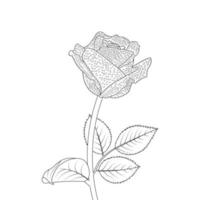 rosa flor coloração página e livro mão desenhado linha arte ilustração vetor