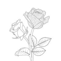 rosa flor coloração página e livro mão desenhado linha arte ilustração vetor