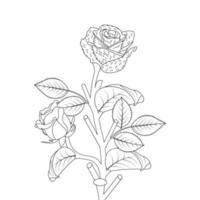rosa flor coloração página e livro mão desenhado linha arte ilustração vetor