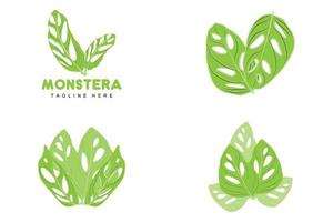 logotipo de folha de monstera adansonii, vetor de planta verde, vetor de árvore, ilustração de folha rara