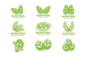 logotipo de folha de monstera adansonii, vetor de planta verde, vetor de árvore, ilustração de folha rara