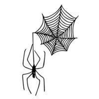 conjunto do teias de aranha. vetor ilustração do uma conjunto do aranha rede.