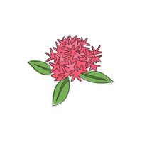 uma linha contínua de desenho de plantas com flores frescas de beleza para o logotipo do jardim. conceito de flor ixora decorativa imprimível para poster de arte de parede de decoração de casa. ilustração em vetor moderno desenho de linha única