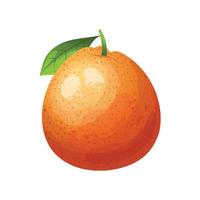 Toranja fruta desenho animado vetor ilustração