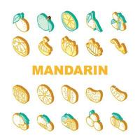 mandarim citrino fruta ícones conjunto vetor