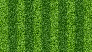 listrado futebol futebol Relva campo vetor textura. verde Relva padronizar para esporte fundo