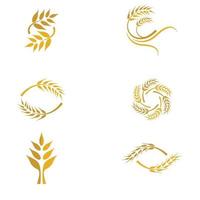 conjunto de imagens do logotipo da wheat vetor