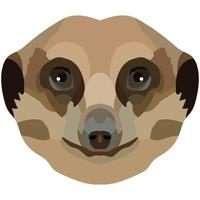 meerkat face. a ilustração do uma de suricatos focinho é retratado. brilhante retrato em uma branco fundo. vetor gráficos. animal logotipo.