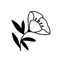 mão desenhado esboço flor isolado em branco fundo. simples rabisco estilo. vetor