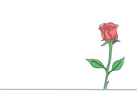 único desenho de linha contínua de linda flor rosa romântica fresca. cartão, convite, logotipo, banner, conceito de cartaz. tendência de uma linha desenhar ilustração vetorial de design gráfico vetor