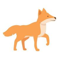 Austrália dingo cachorro ícone desenho animado vetor. selvagem animal vetor
