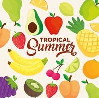 banner de verão tropical, com padrão de frutas frescas vetor