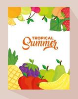 banner de verão tropical com frutas frescas vetor