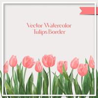 vetor aguarela tulipas fronteira coleção