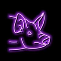 porco animal jardim zoológico néon brilho ícone ilustração vetor