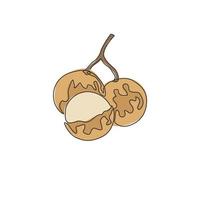 um único desenho de linha de longan orgânico inteiro e cortado para identidade do logotipo do pomar. conceito de fruta fresca para ícone de jardim de frutas. ilustração gráfica do vetor moderno desenho linha contínua